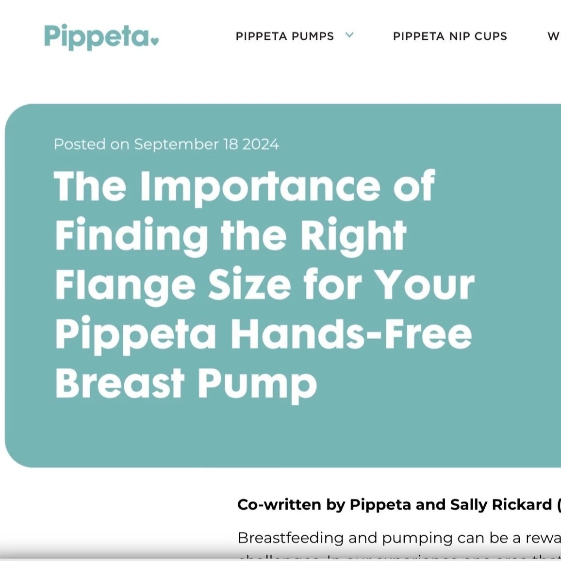 Image 27-11-2024 at 23.08.jpg