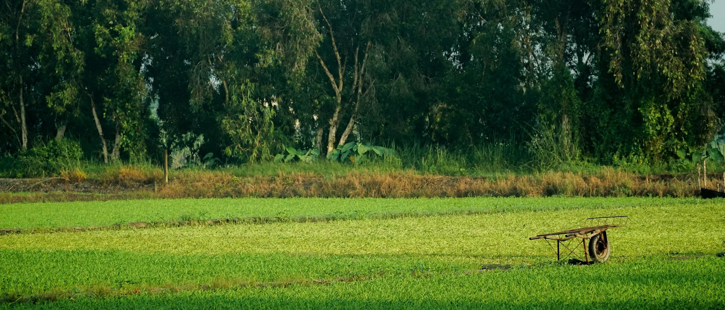 Eagle_Location Scout_HCMC5.jpg