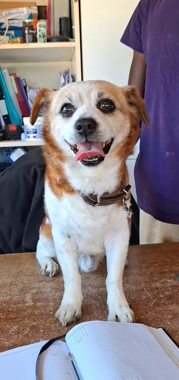 Charlie