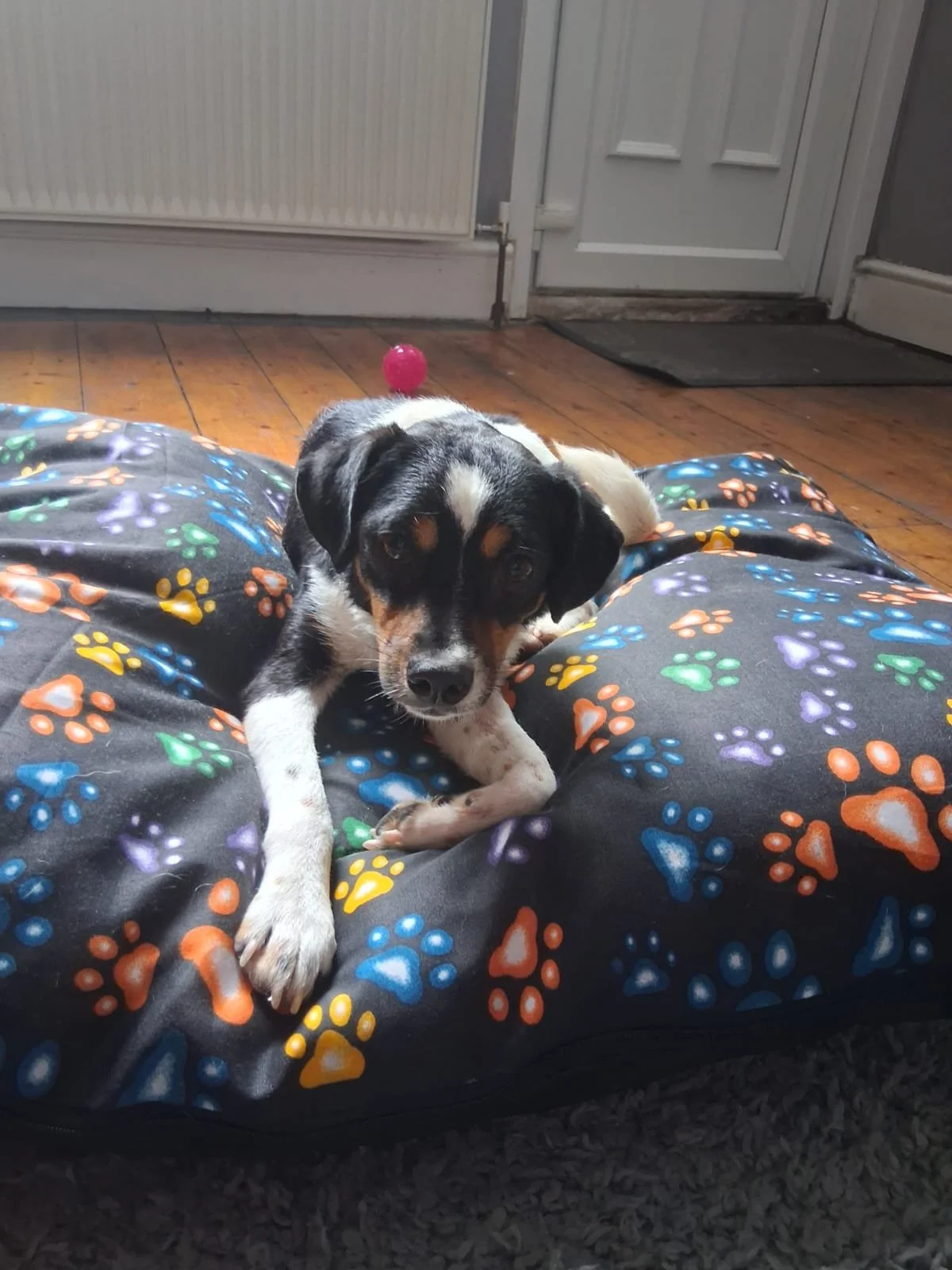 Lilo.jpg