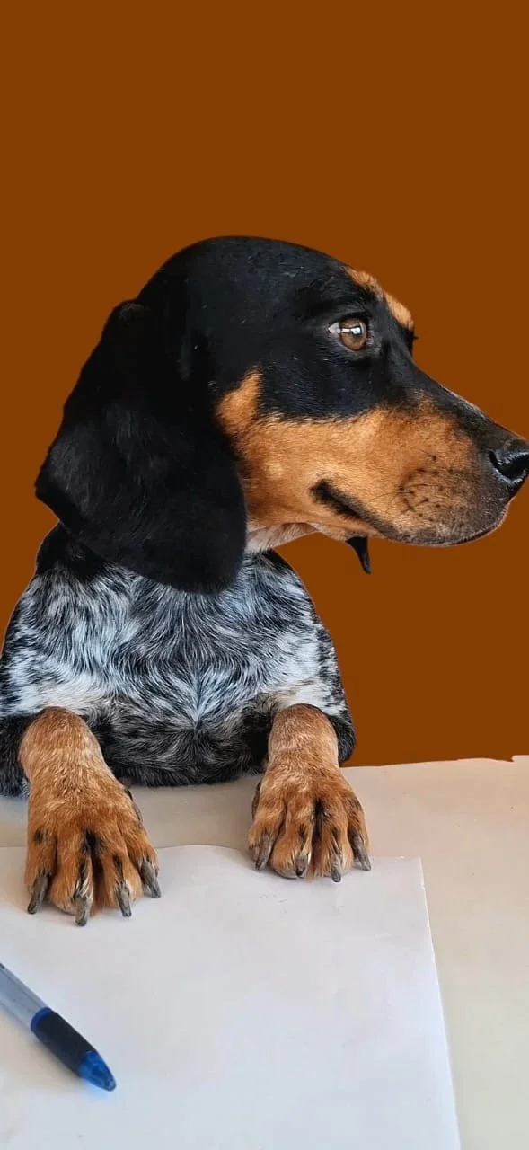 Carmel