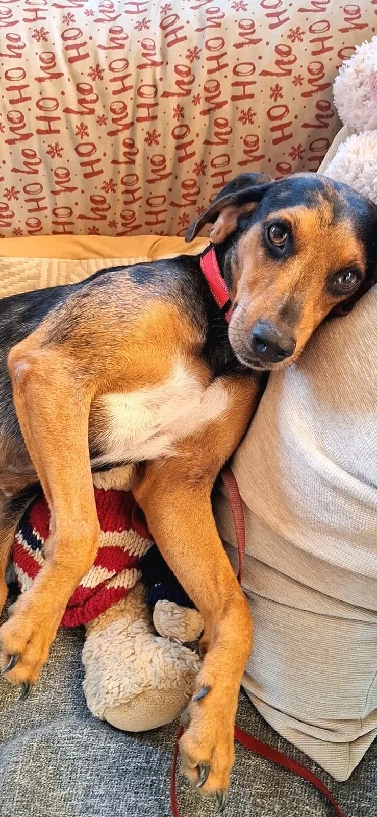 Rosie