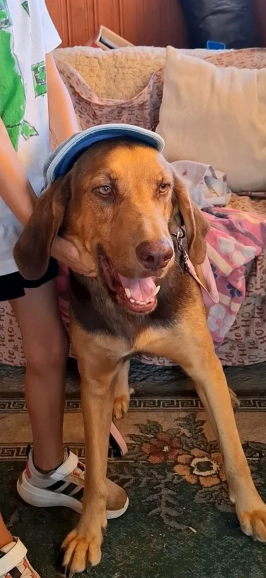 Barnaby