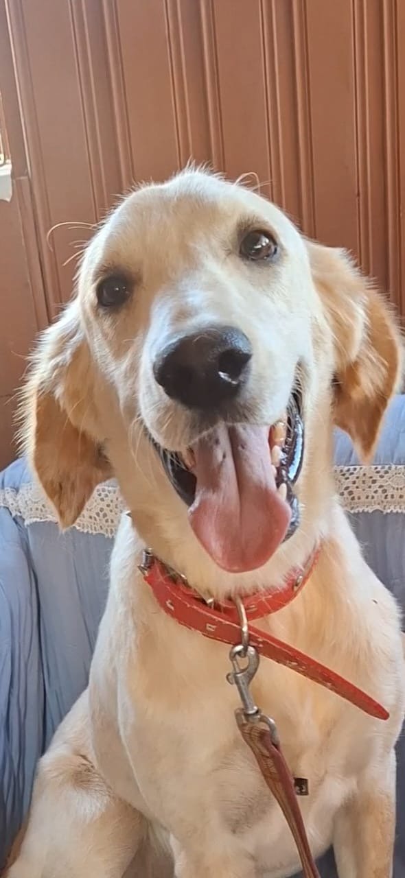 Chloe