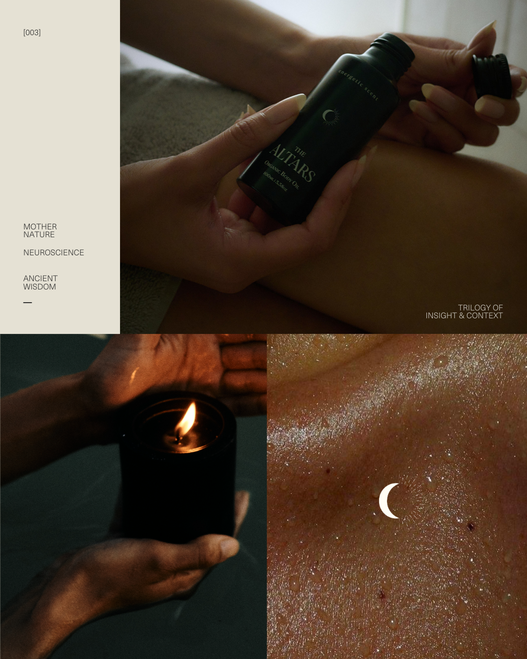 The Altars Assets.png