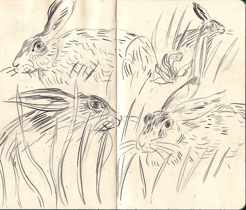 Happy Easter! #hares spotted through the grass #sketch in the wetlands #walktosee #drawingonlocation #walktosee #sketchbook