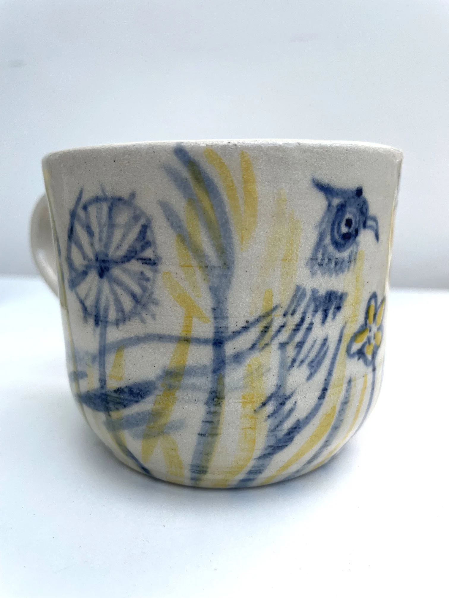 Pheasant_blue_yel_RClark.jpg