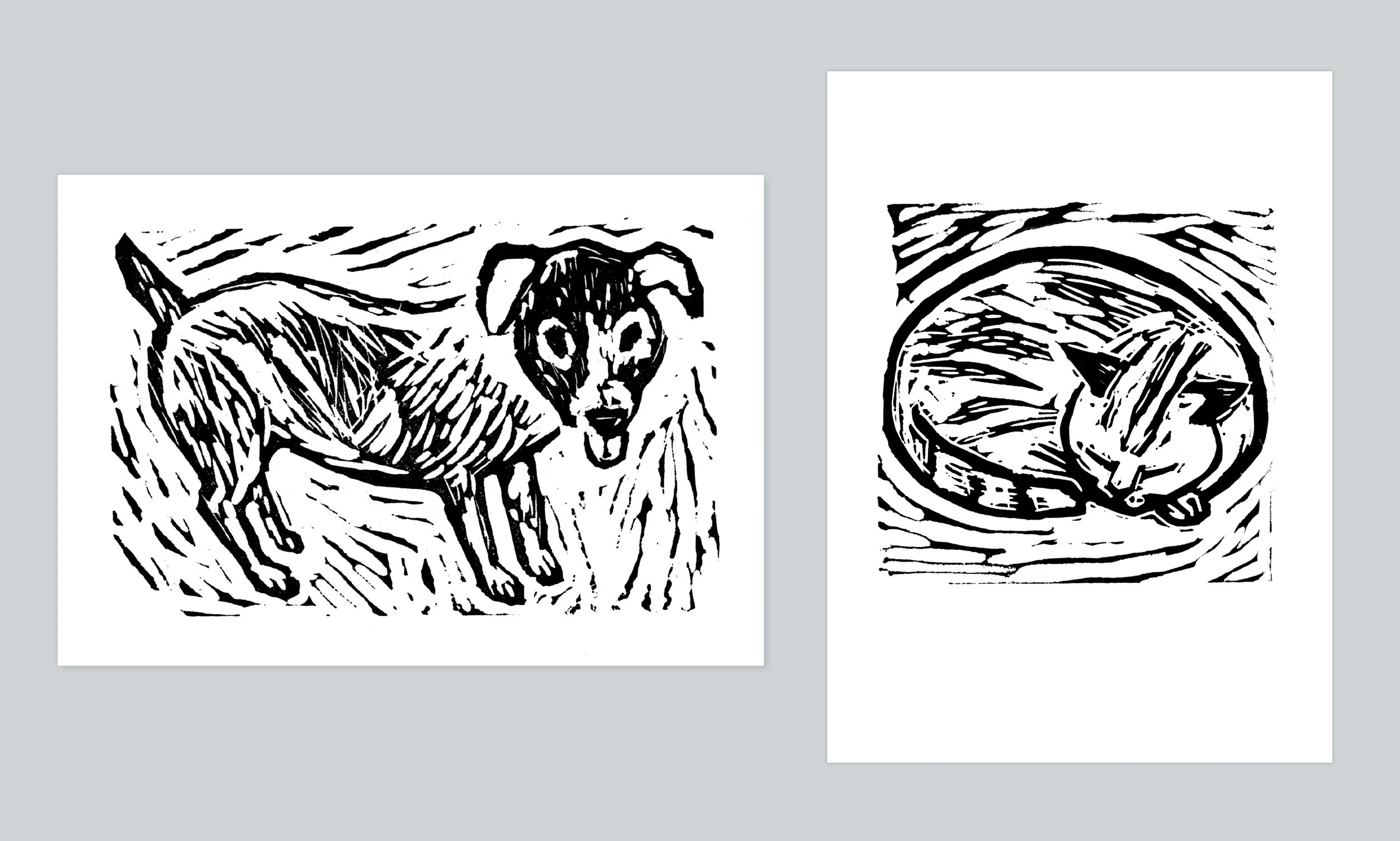 24_Dog_Cat_card.jpg