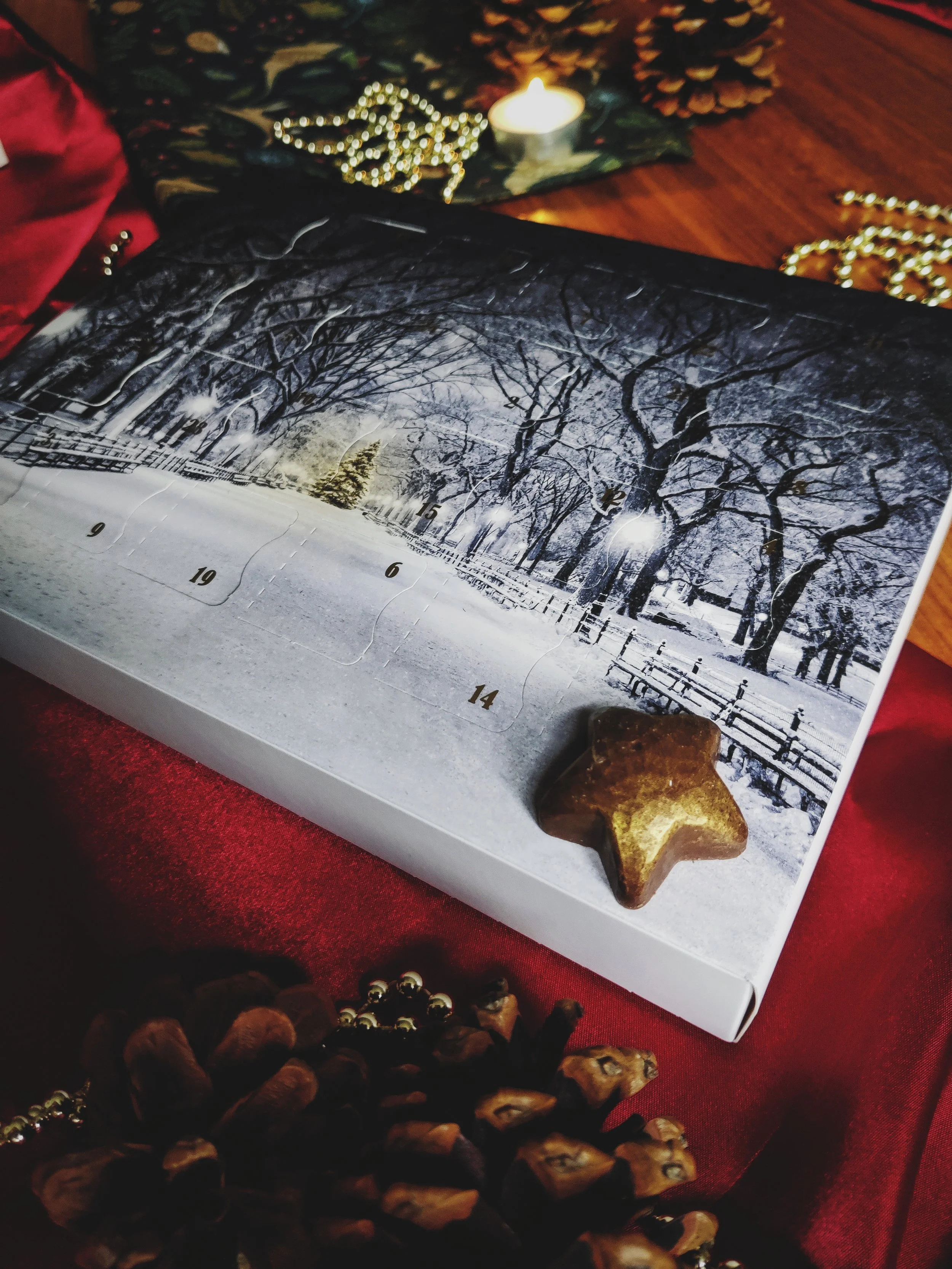 BlowingDandelion_Chocolate_Advent_Calendars_20254.jpg