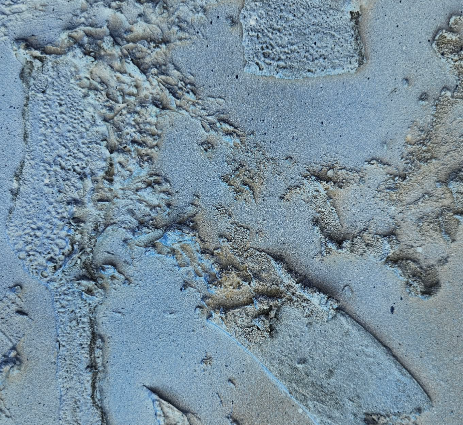 Close-up of sand with various footprints and imprints.
