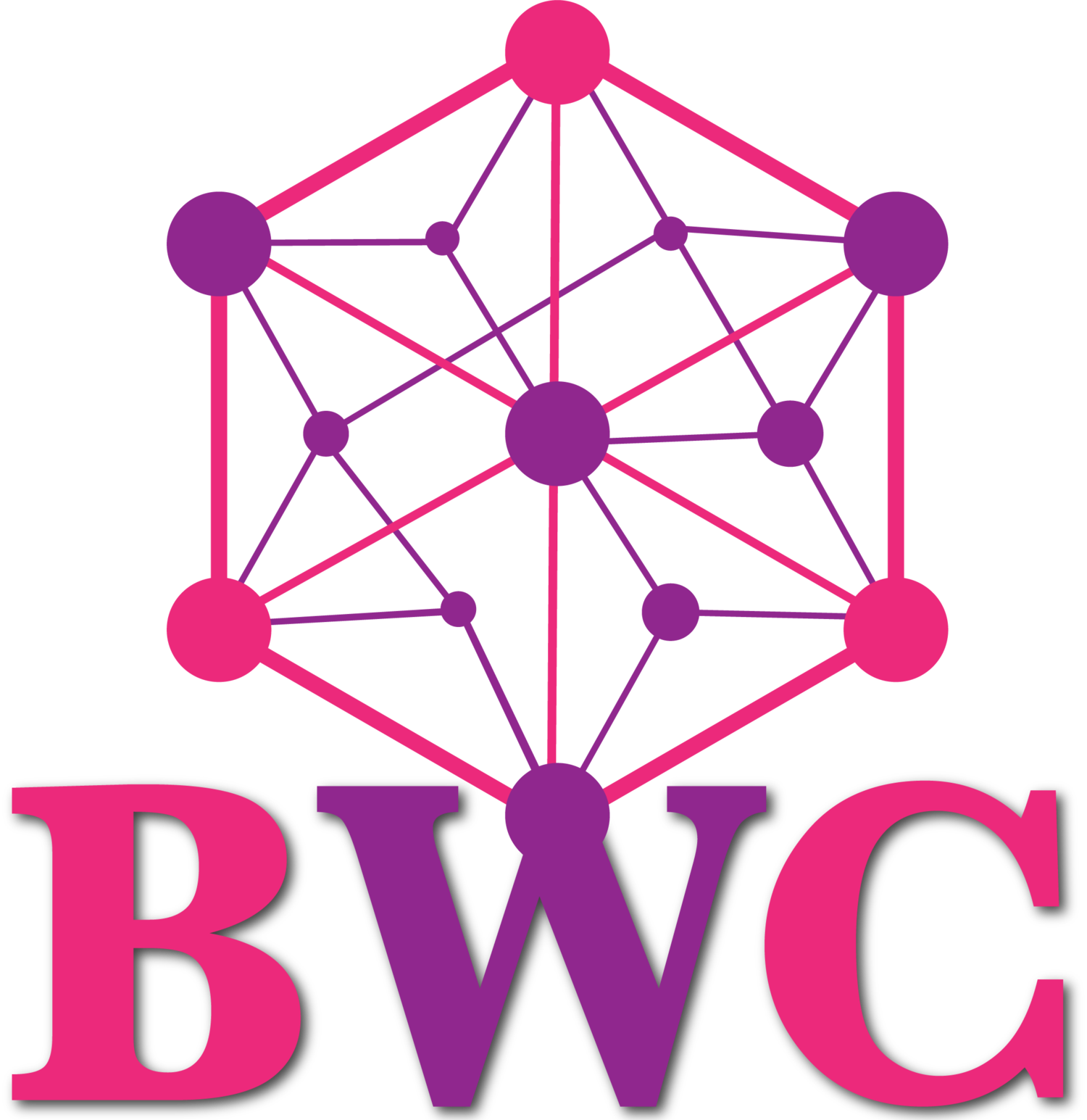 Business Women Connections