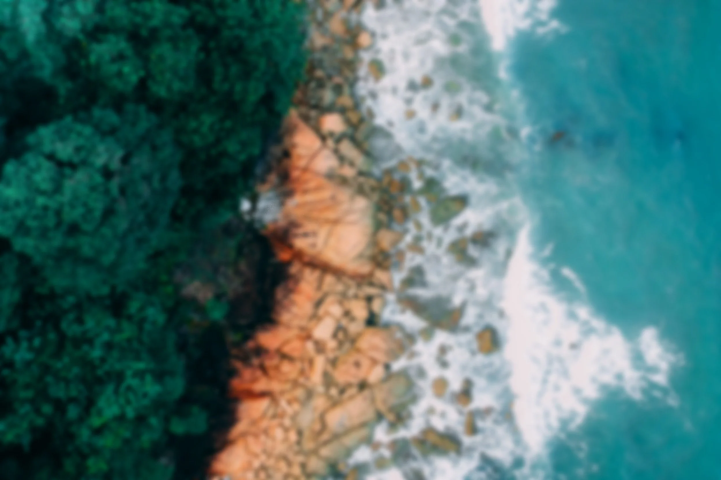 Digest Knowledge - An Open Site for University Students to Add and ...