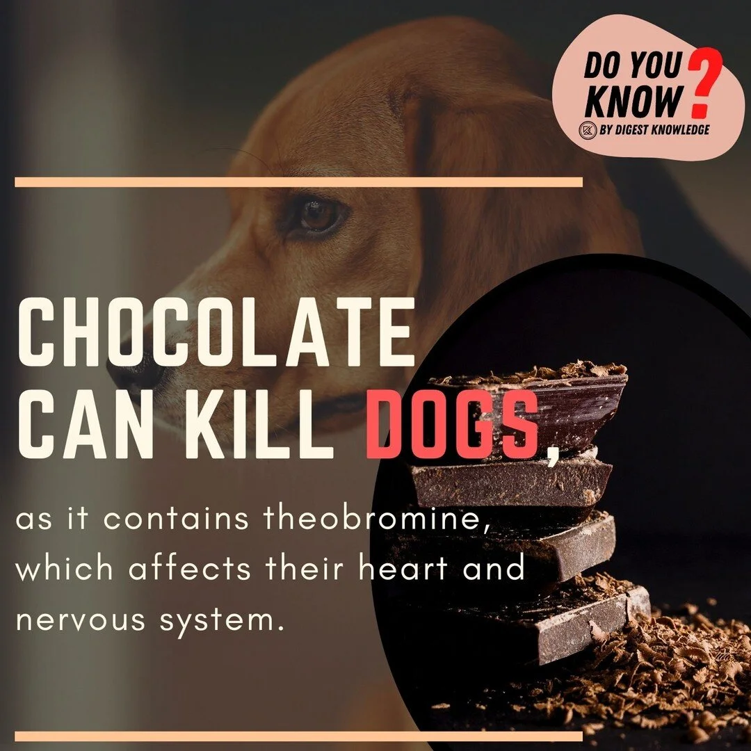 Digest Knowledge - An Open Site for University Students to Add and ...