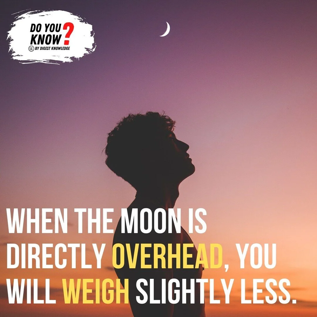 Digest Knowledge - An Open Site for University Students to Add and ...