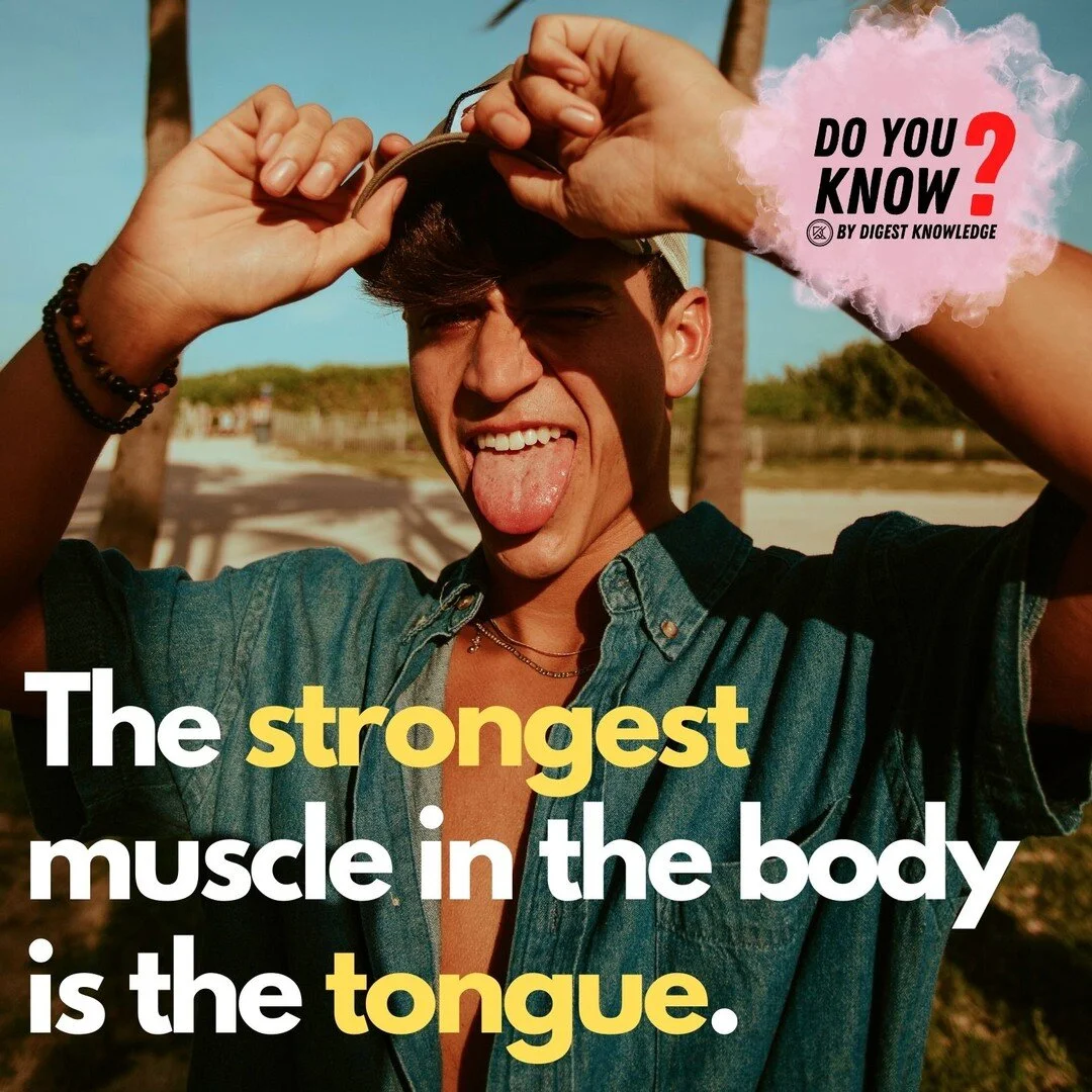 Digest Knowledge - An Open Site for University Students to Add and ...