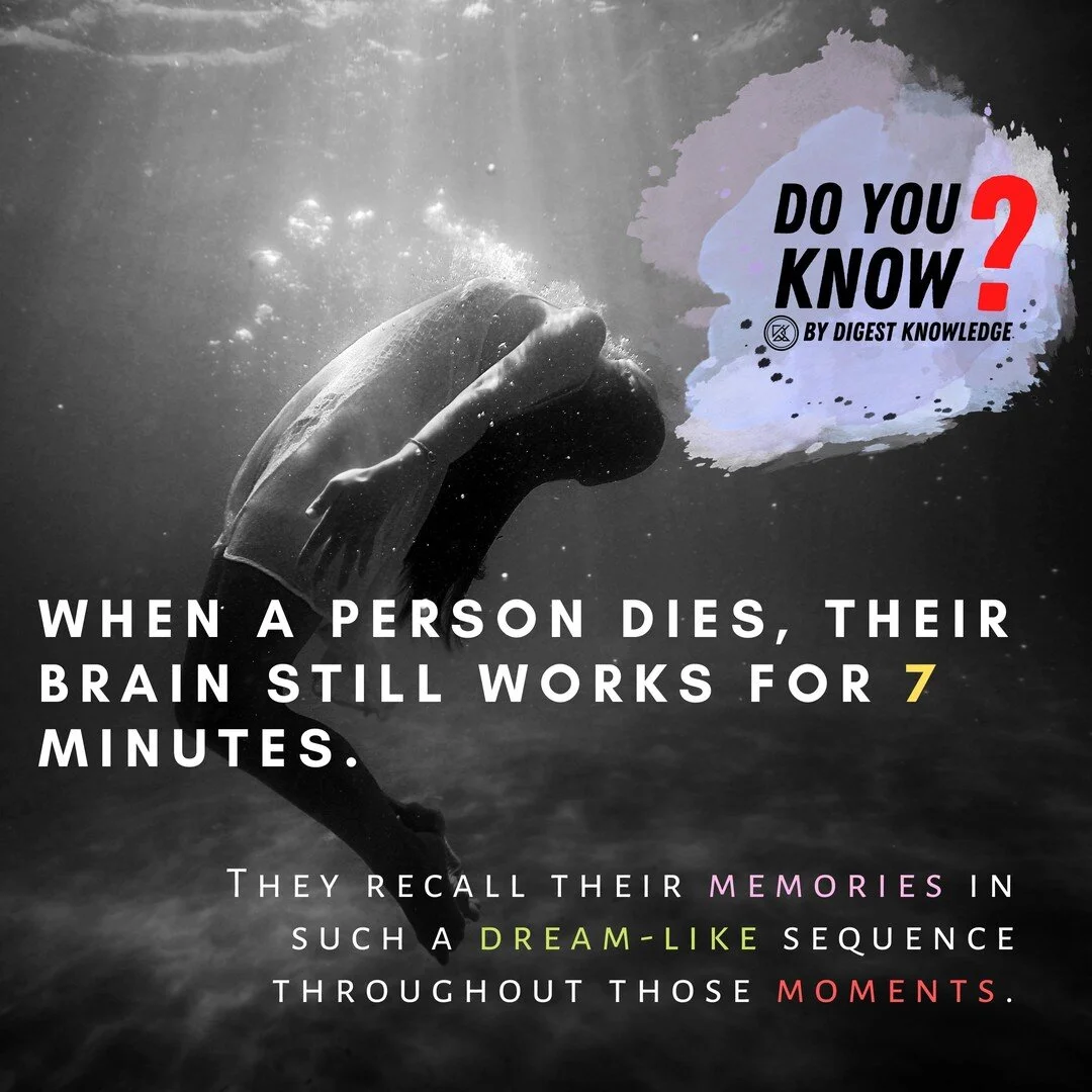 Digest Knowledge - An Open Site for University Students to Add and ...