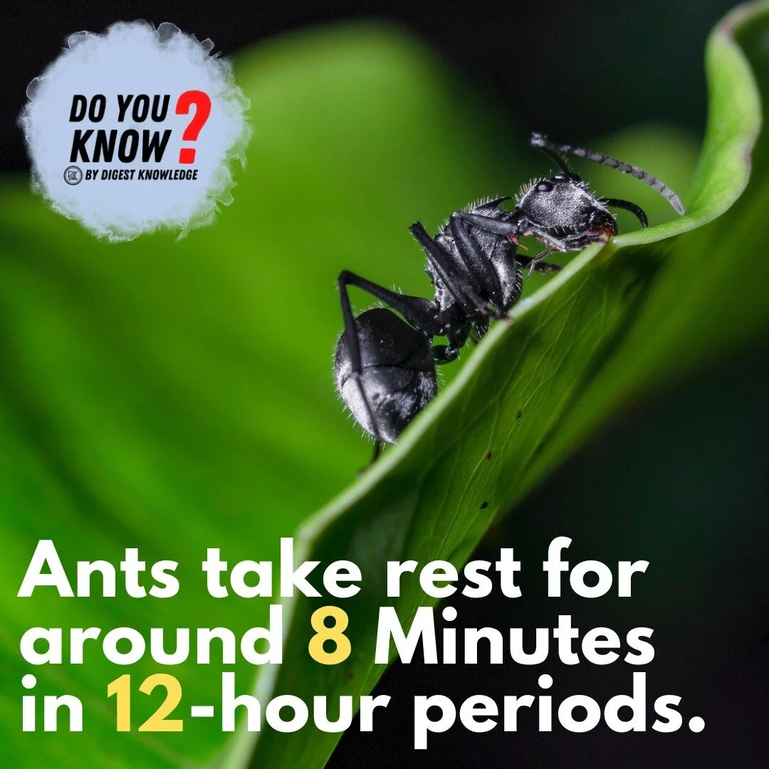 Digest Knowledge - An Open Site for University Students to Add and ...