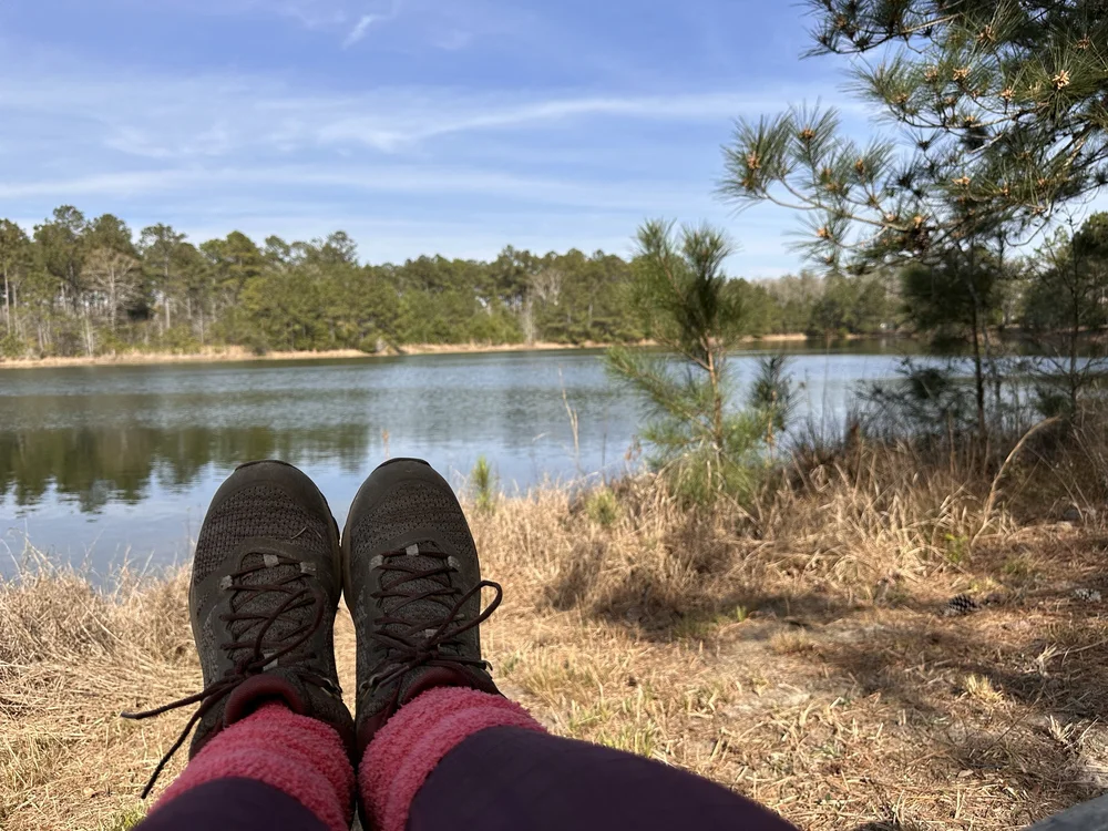 Tent View.jpg