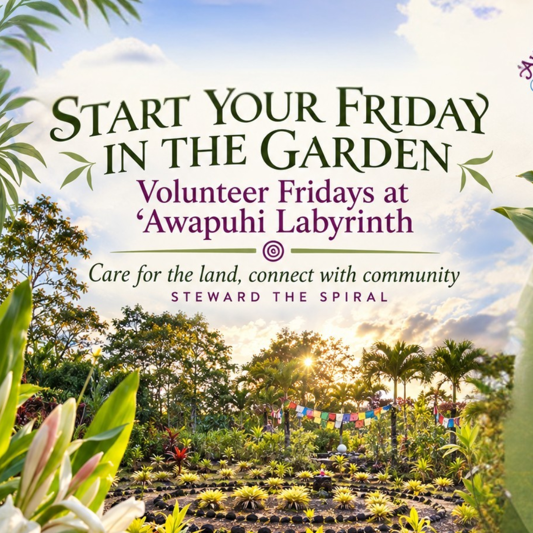 Volunteer Fridays