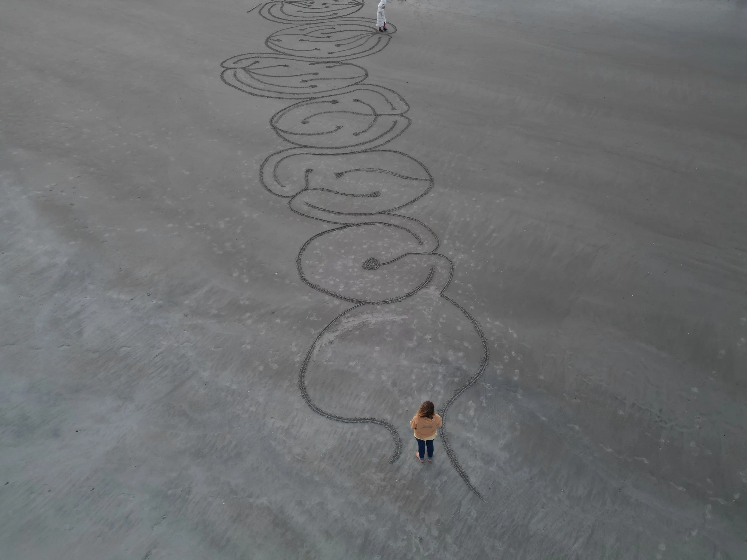 dji_fly_20260323_091012_859_1774227027909_photo.jpg