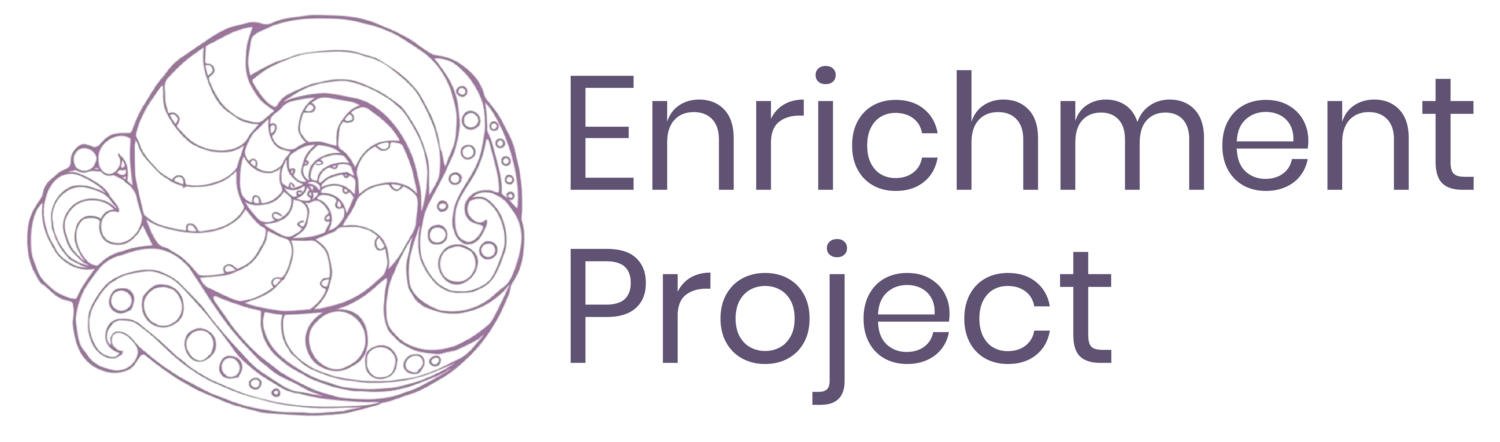 Enrichment Project