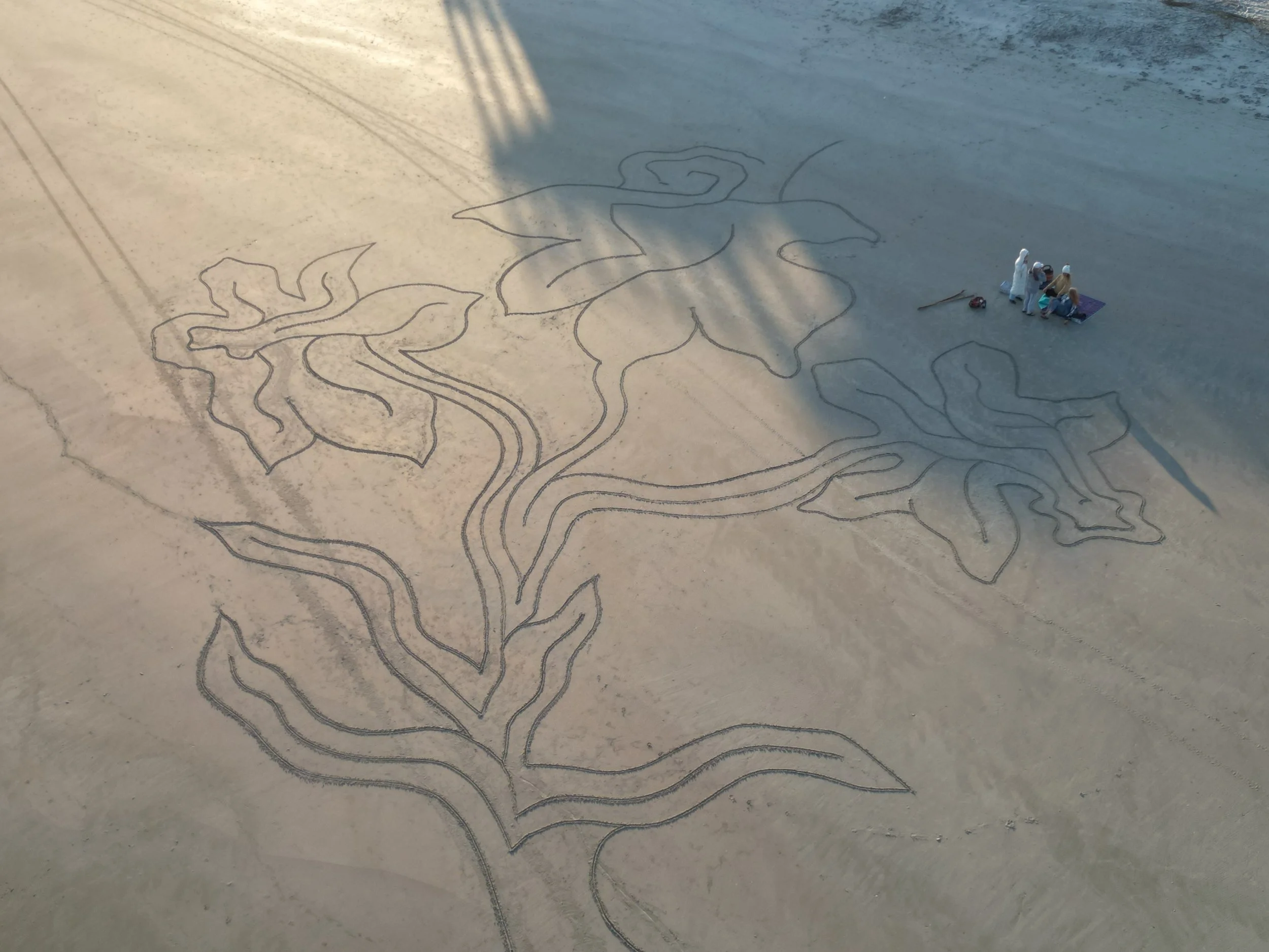 dji_fly_20260323_203712_888_1774227011381_photo.jpg