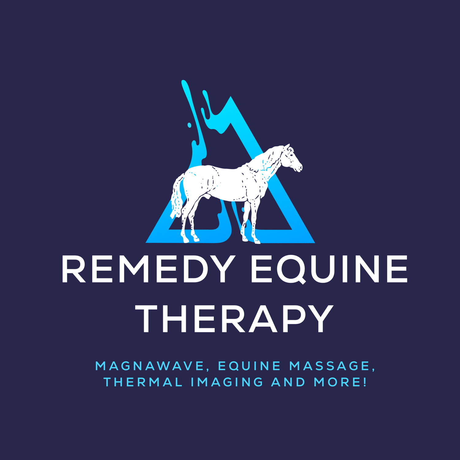 Remedy Equine Therapy