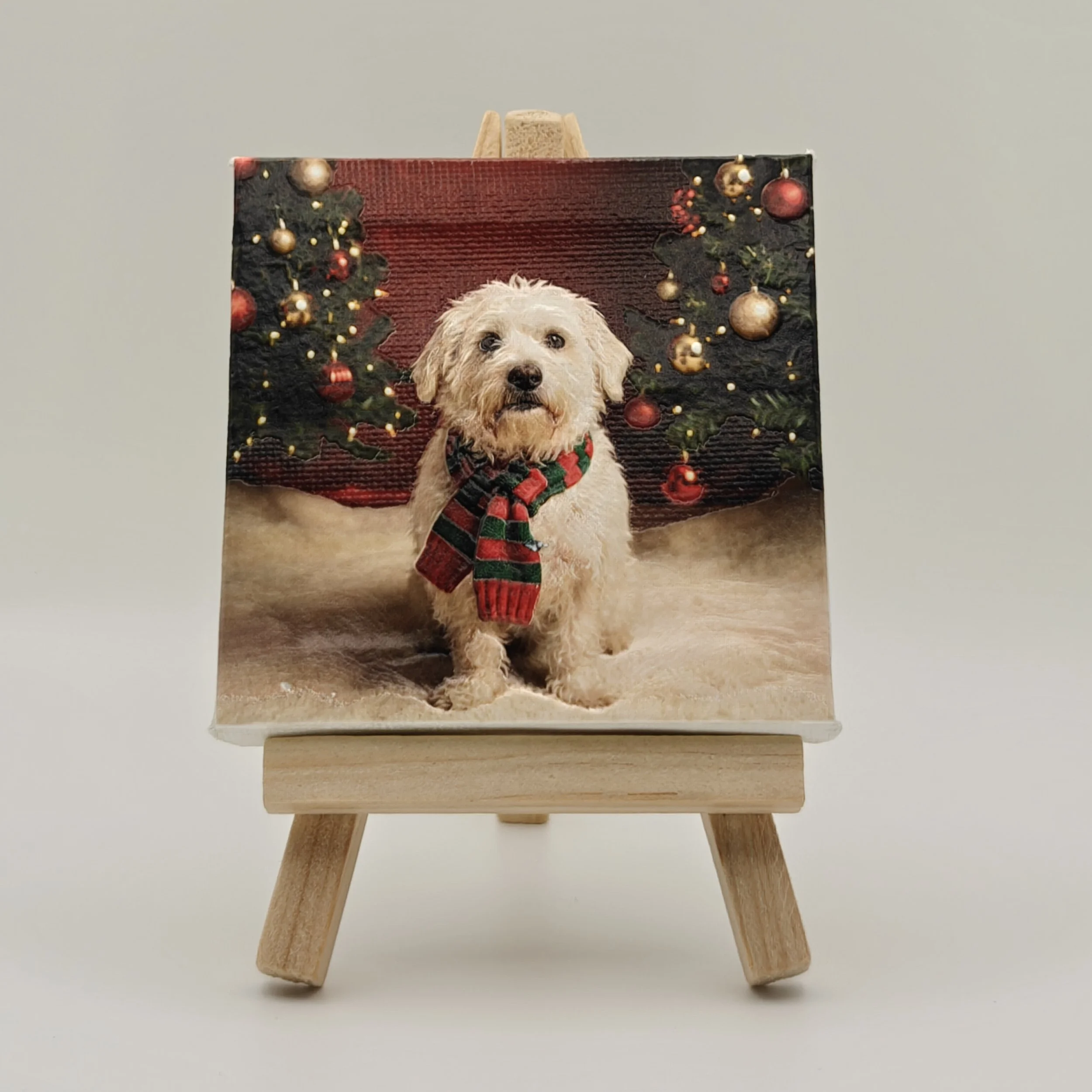 8cm x 8cm Canvas Print (Textured)