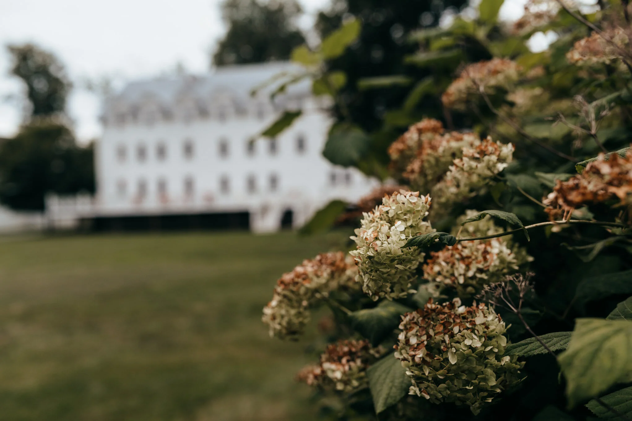 Gallery — Canaan Street Lake Inn