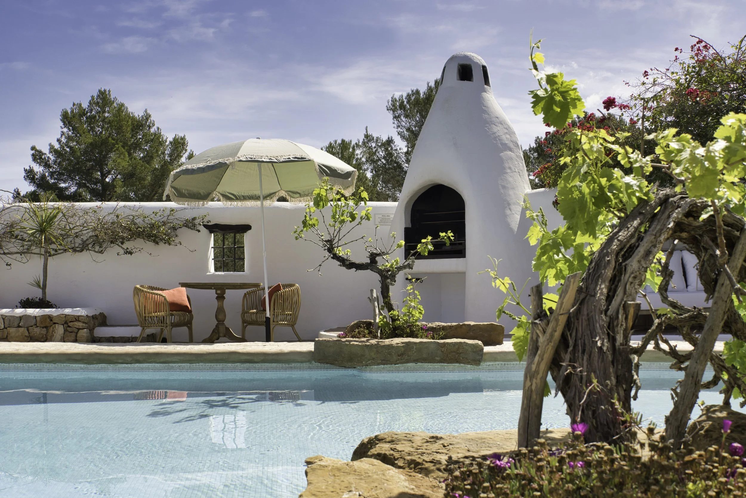 pool bbq and plantlife.jpeg