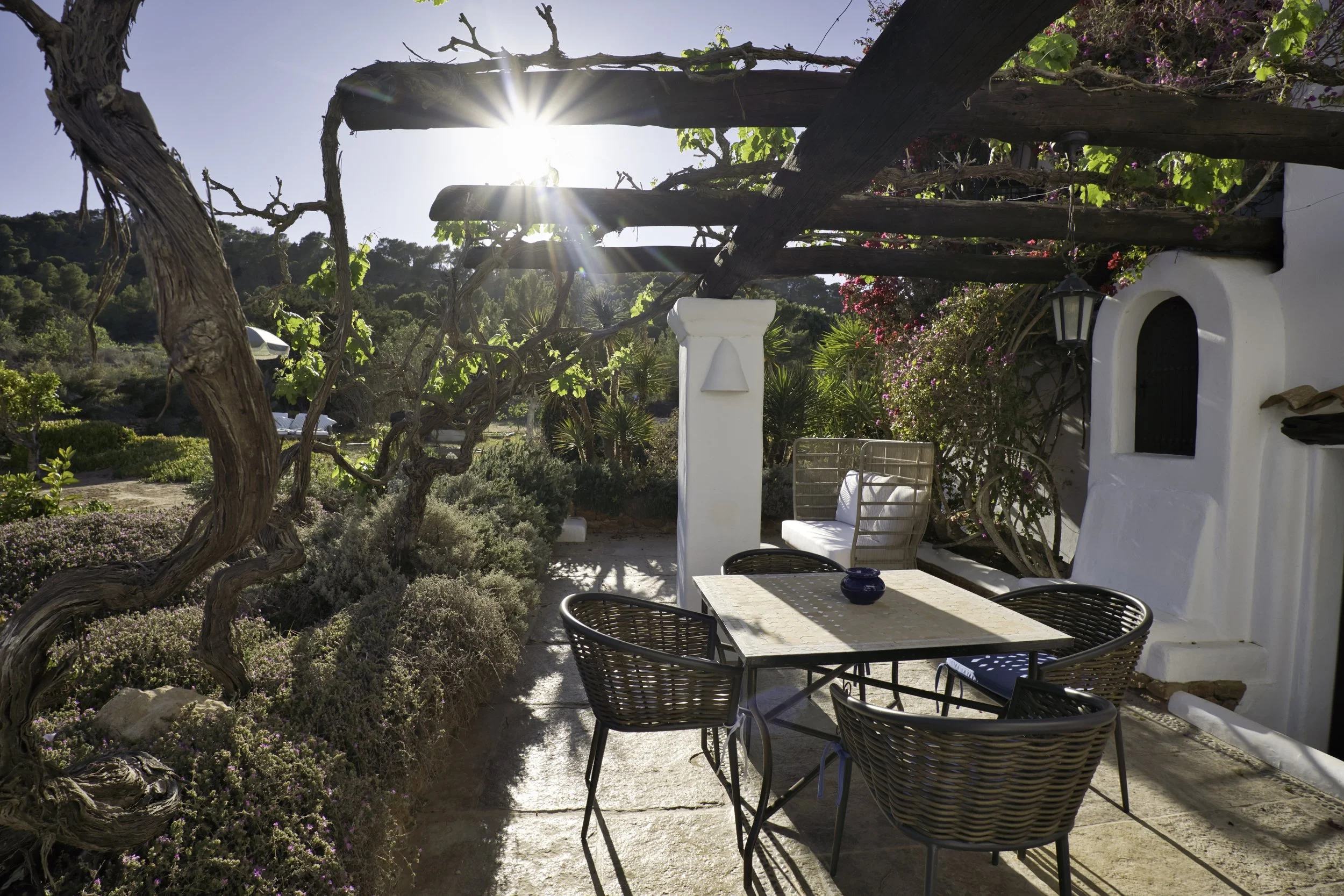 exterior dining.jpeg