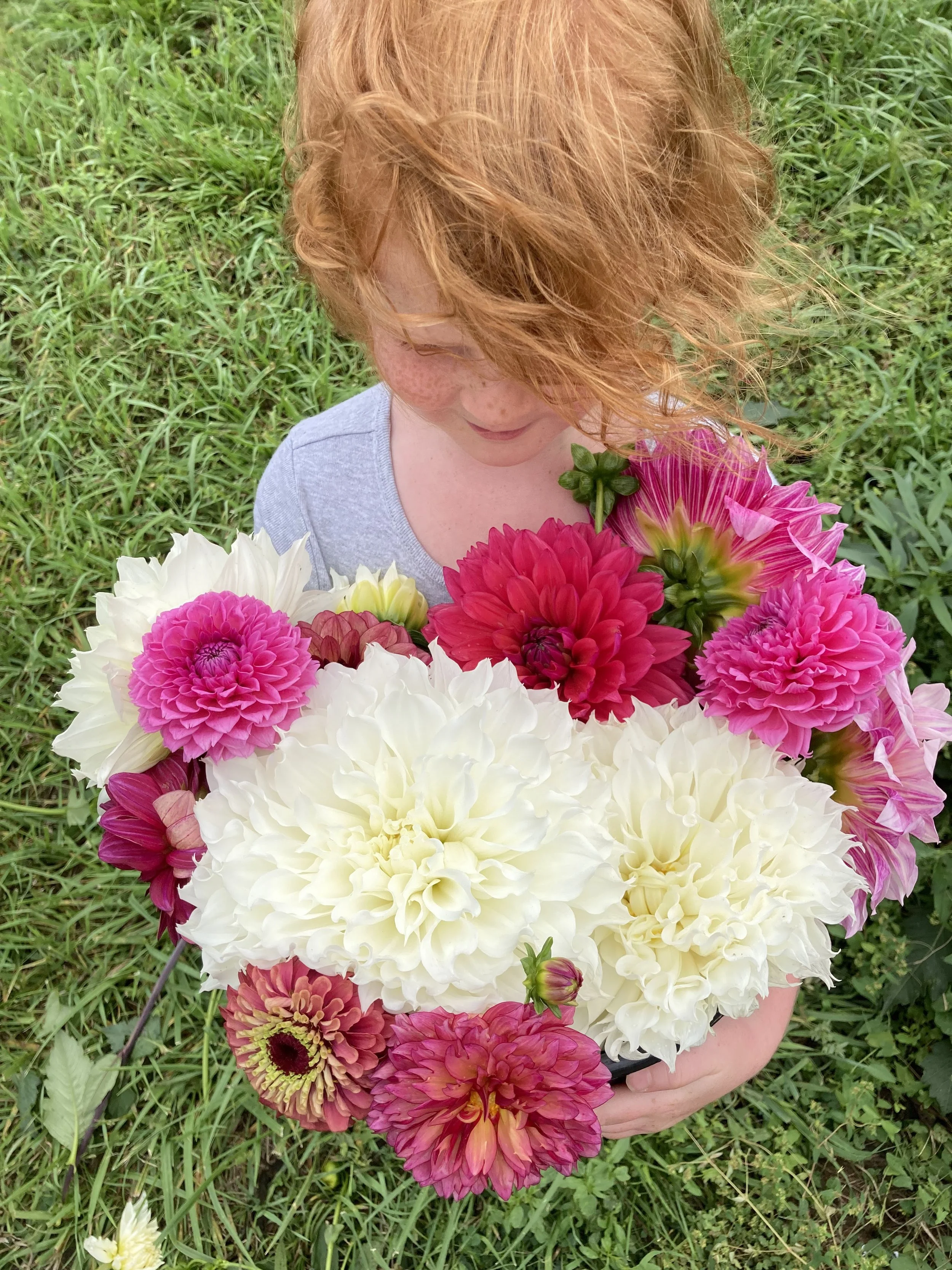 About 1 — Wild Red Flower Farm