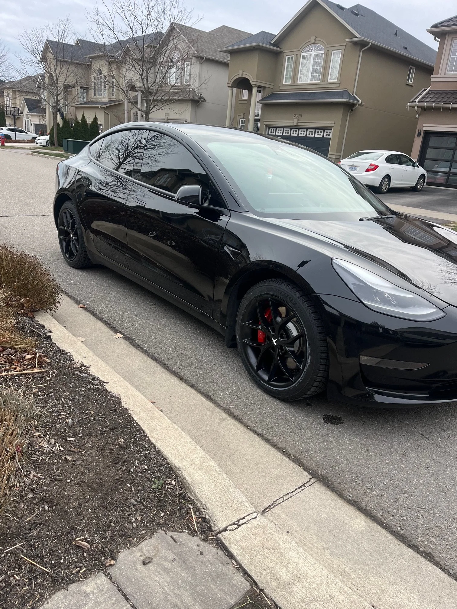 JBR Zero G MB 2.jpeg