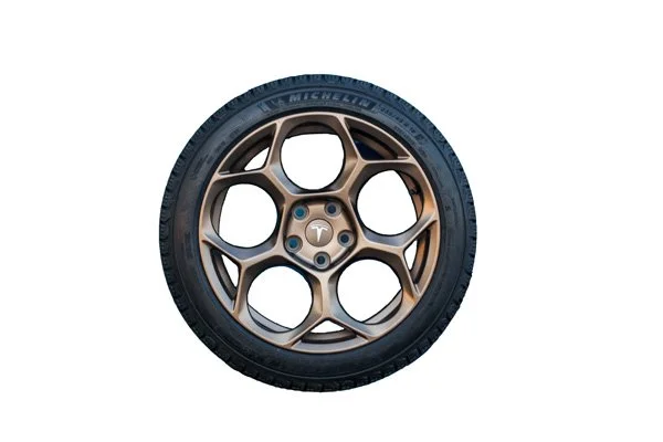 Telsa-Model-3-hex-bronze-18-inch-winter-tire.jpg