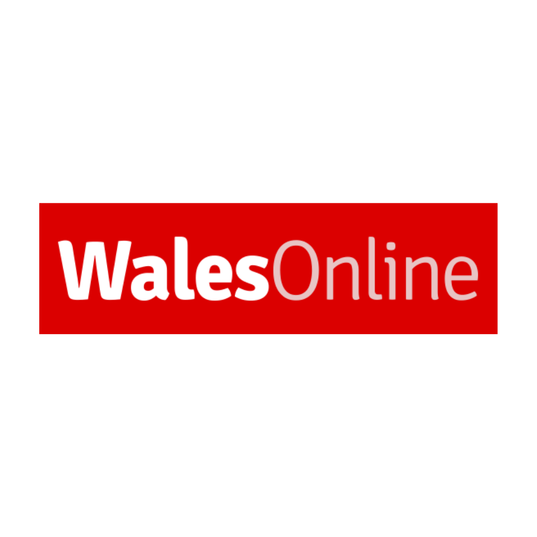 Wales Online.png