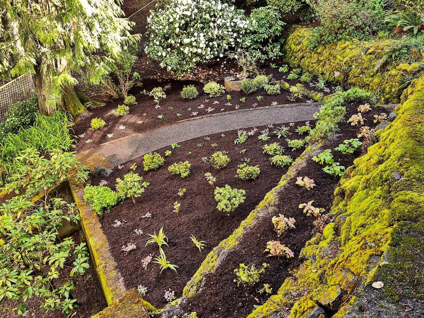 My client waited a long time for this one day install. 
&bull;
I designed this small garden last summer and given the higher elevation and making sure to get every plant variety just right, she patiently waited till this week. 
&bull;
After giving me