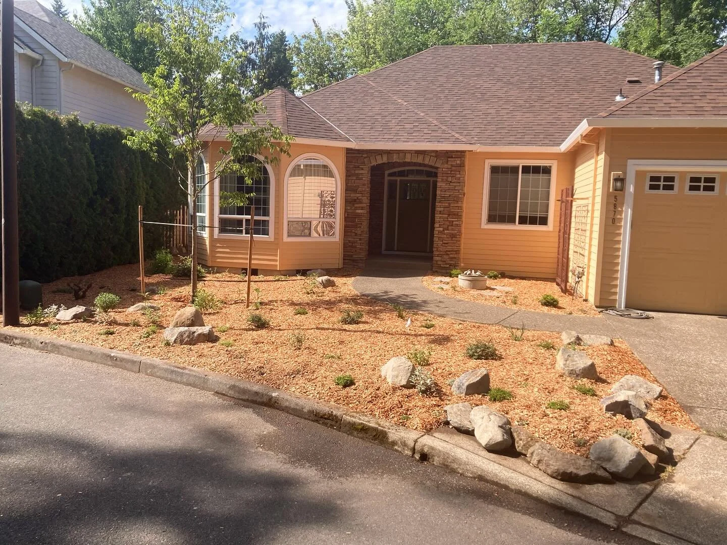 Thank goodness for my awesome crew and amazing clients. 
•
Being injured at home is a terrible feeling, but my crew keeps the schedule moving forward as planned and crushing the work. 
•
Carol from Design in a Day created this little native