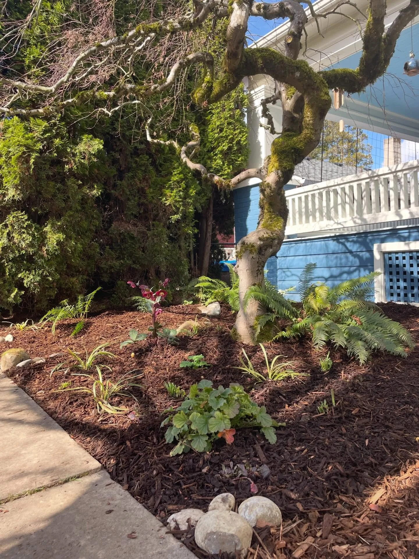 Fillin&rsquo; that schedule with odds and ends and this one came together with Kyle&rsquo;s help from @ninebark_design
&bull;
The theme? You guessed it. Rip it all out and leave it a beautifully prepped clean slate for her to do the plant magic. 
&bu