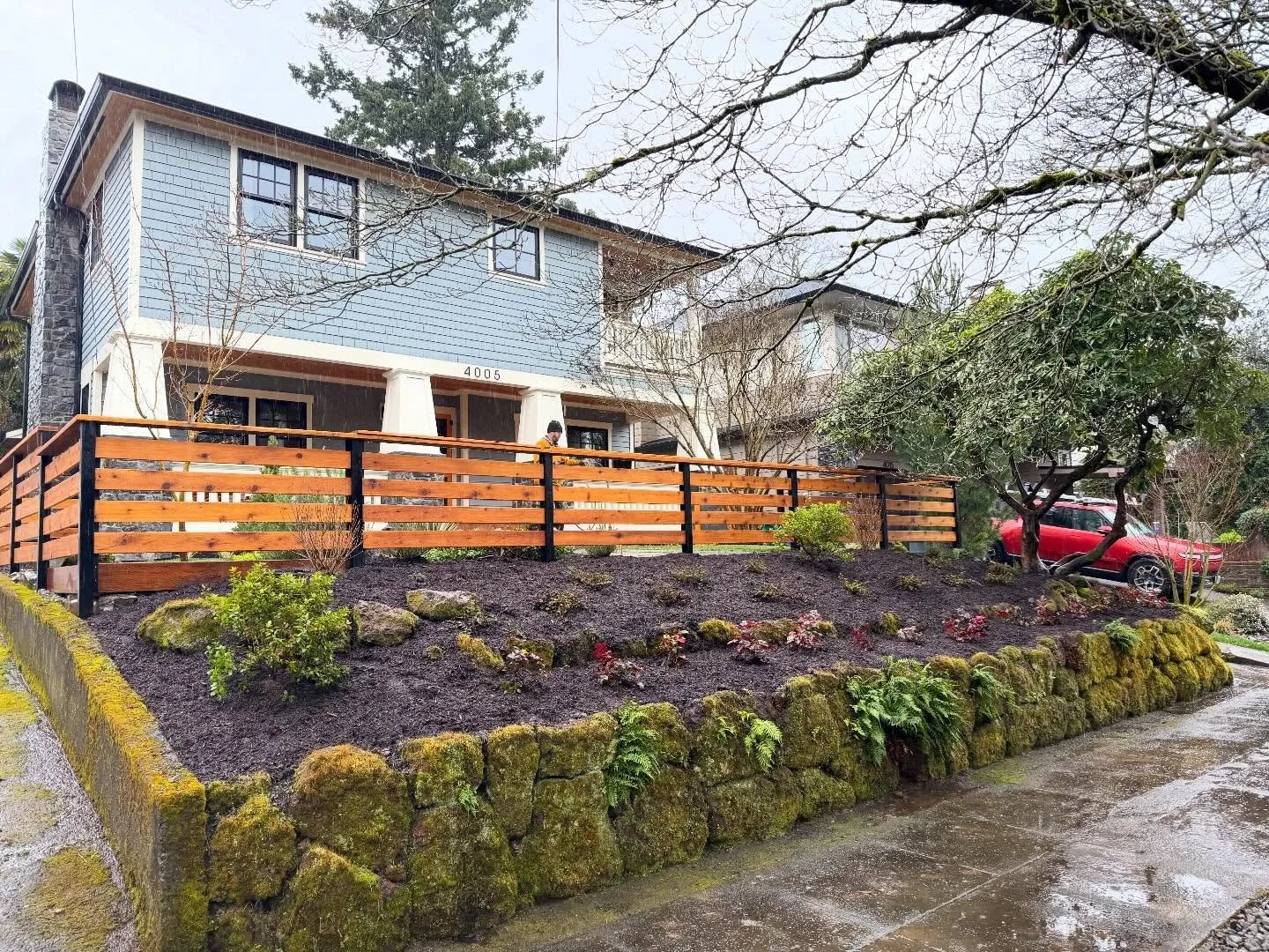 New house on the market alert!
&bull;
My client gave us two weeks to plan, plant, and fix up the landscaping for this newly listed house in Laurelhurst. 
&bull;
My thoughts going into it: what is affordable, evergreen, big, not cut back, colorful, av