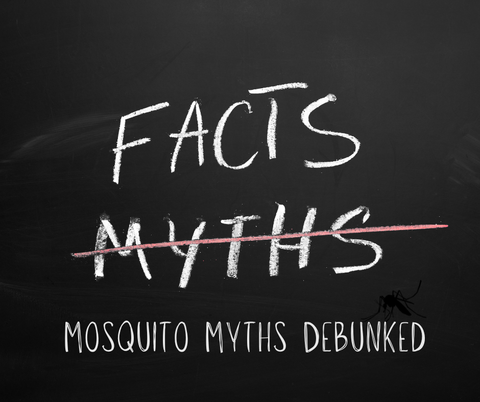 Top 5 Myths About Mosquitoes Debunked: What You Need to Know