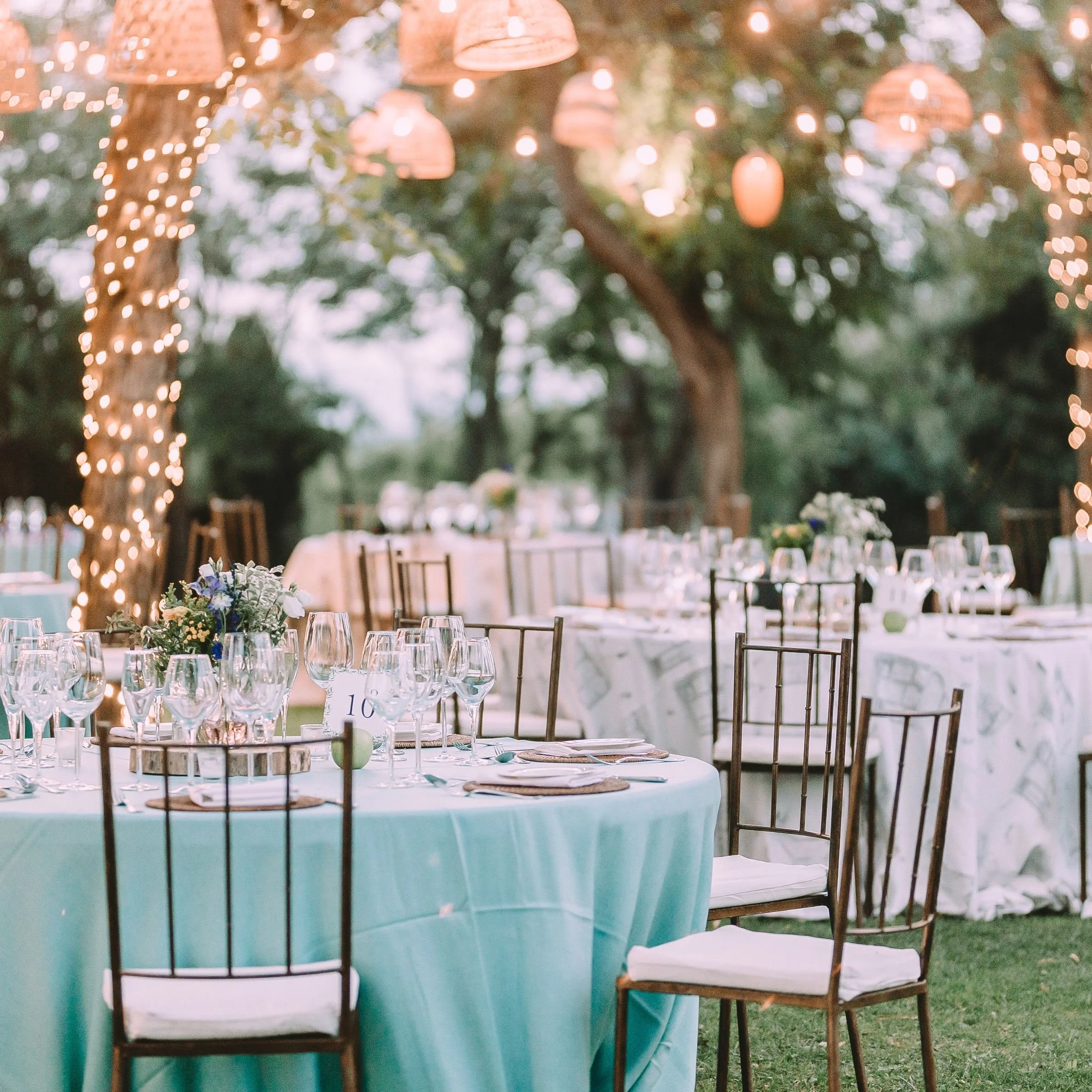 Mosquito Control for Events