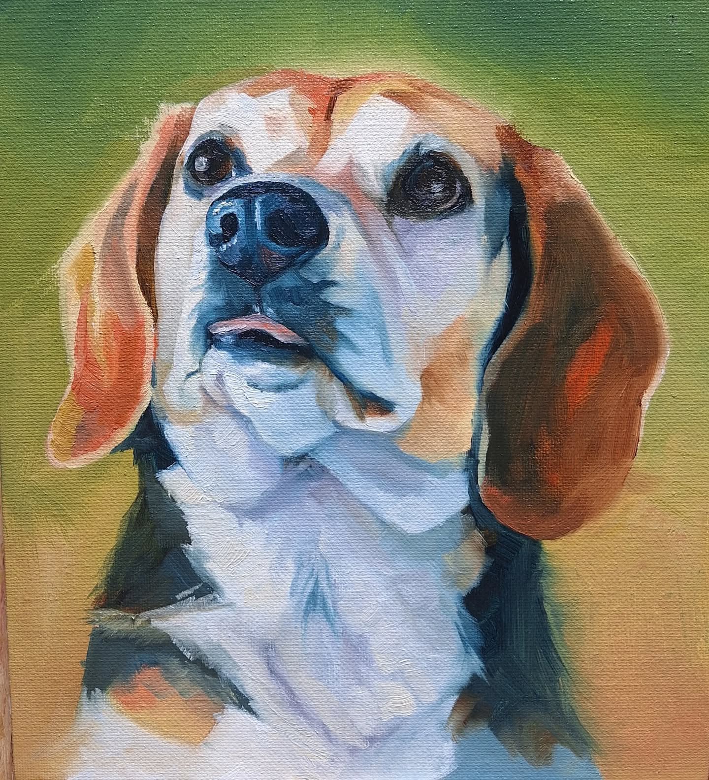 Look at this adorable face! I just love getting to paint pet portraits because I get to see so many adorable faces all the time. 

#petportrait #art #artist #cute #sweet #oilpainting