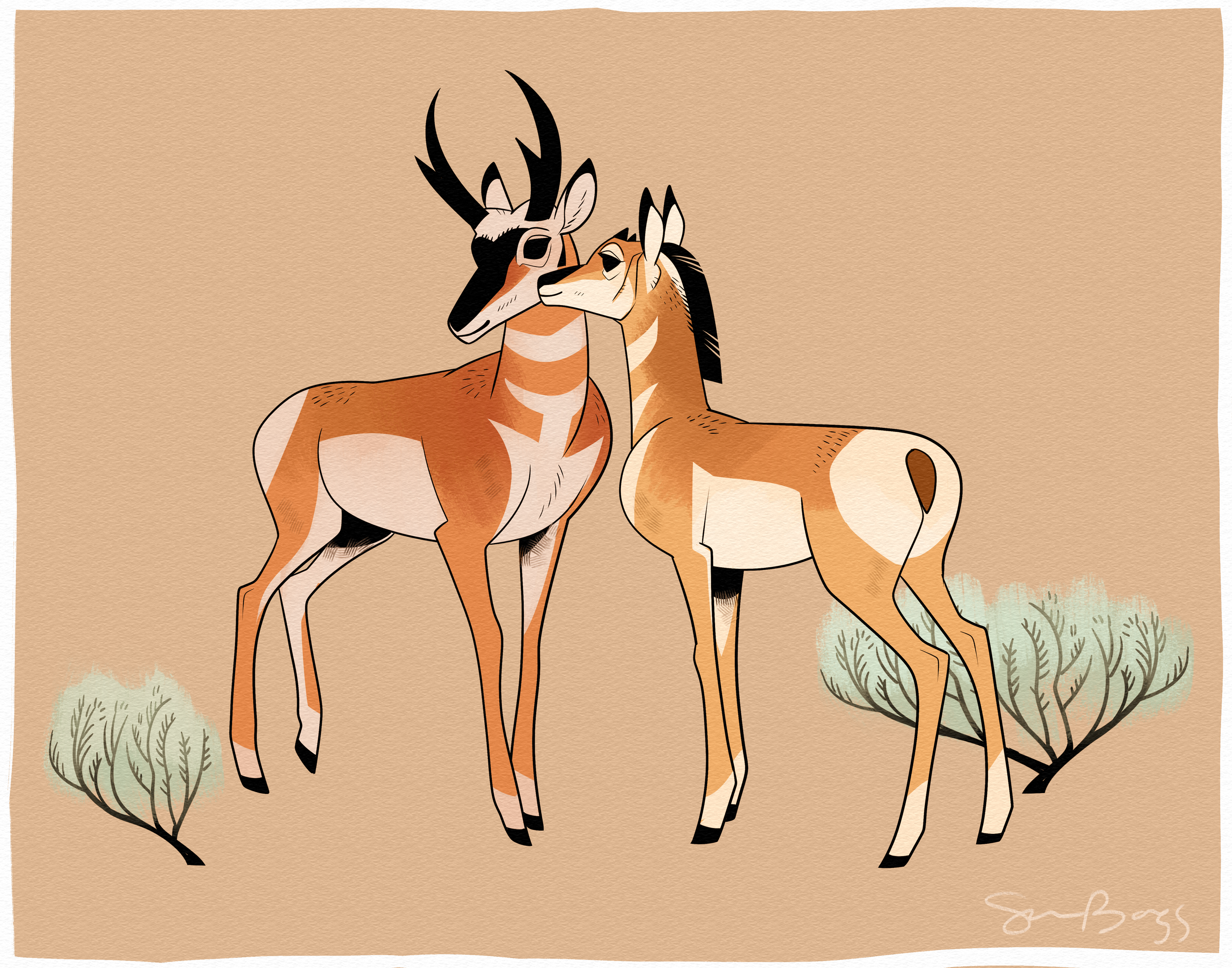 pronghorns.png