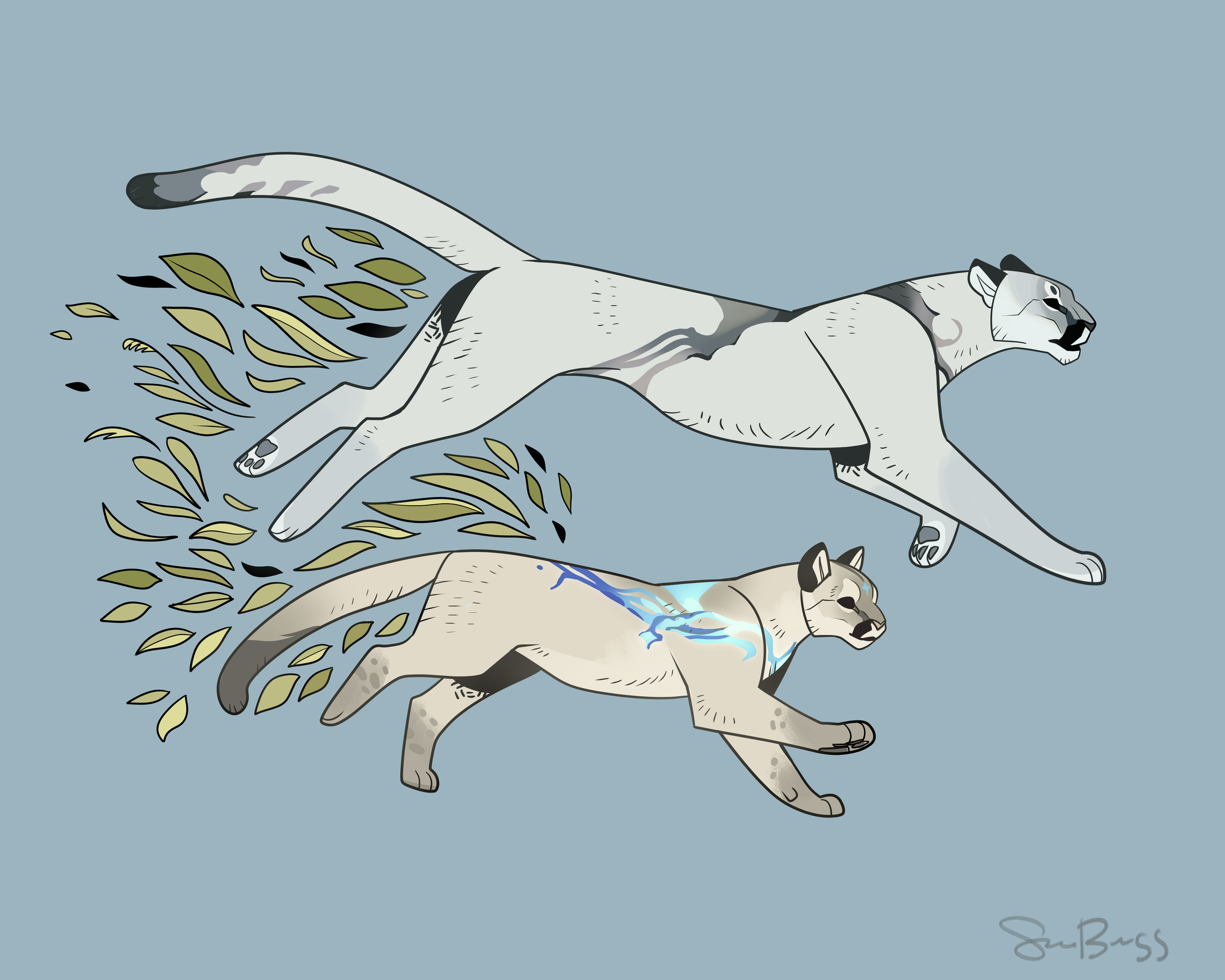 cougars.png