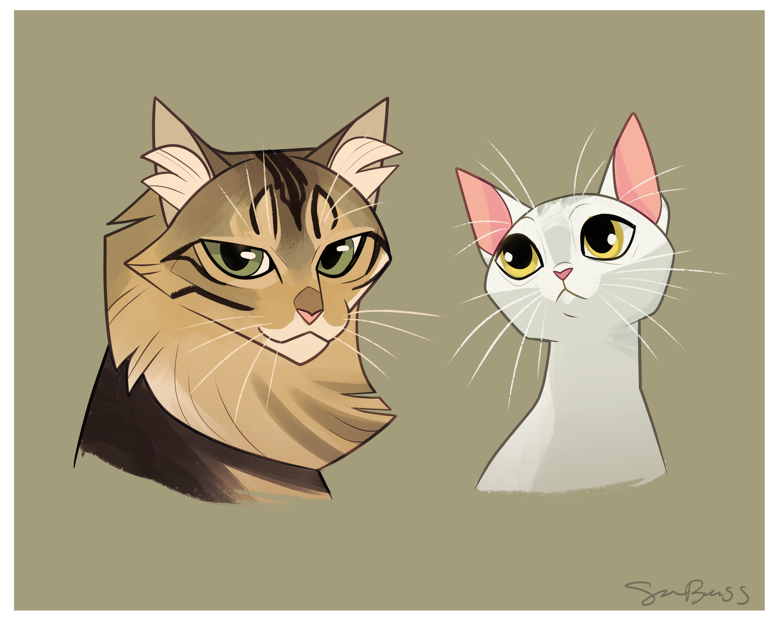 browntabbywhitecat.png