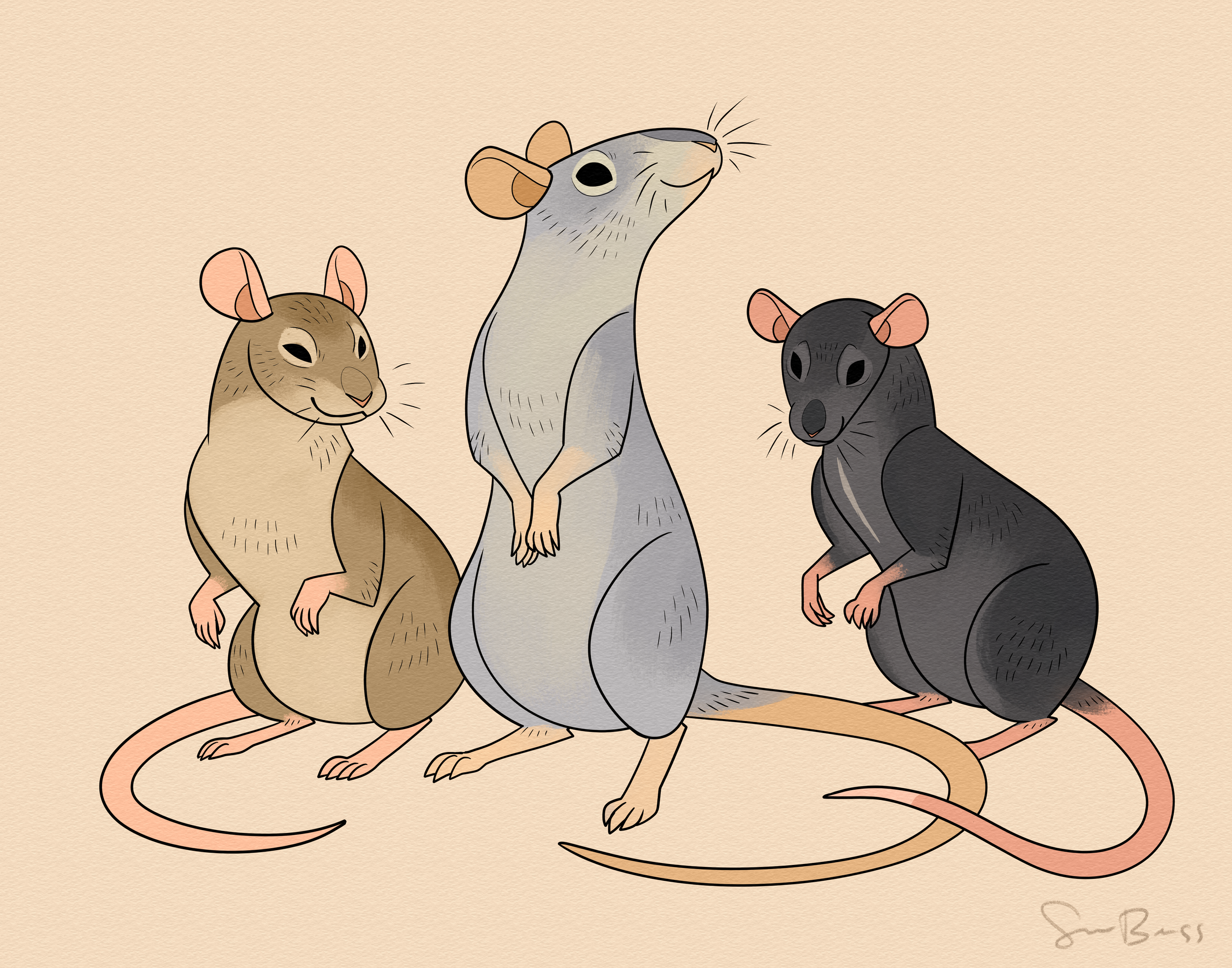 threerats.png