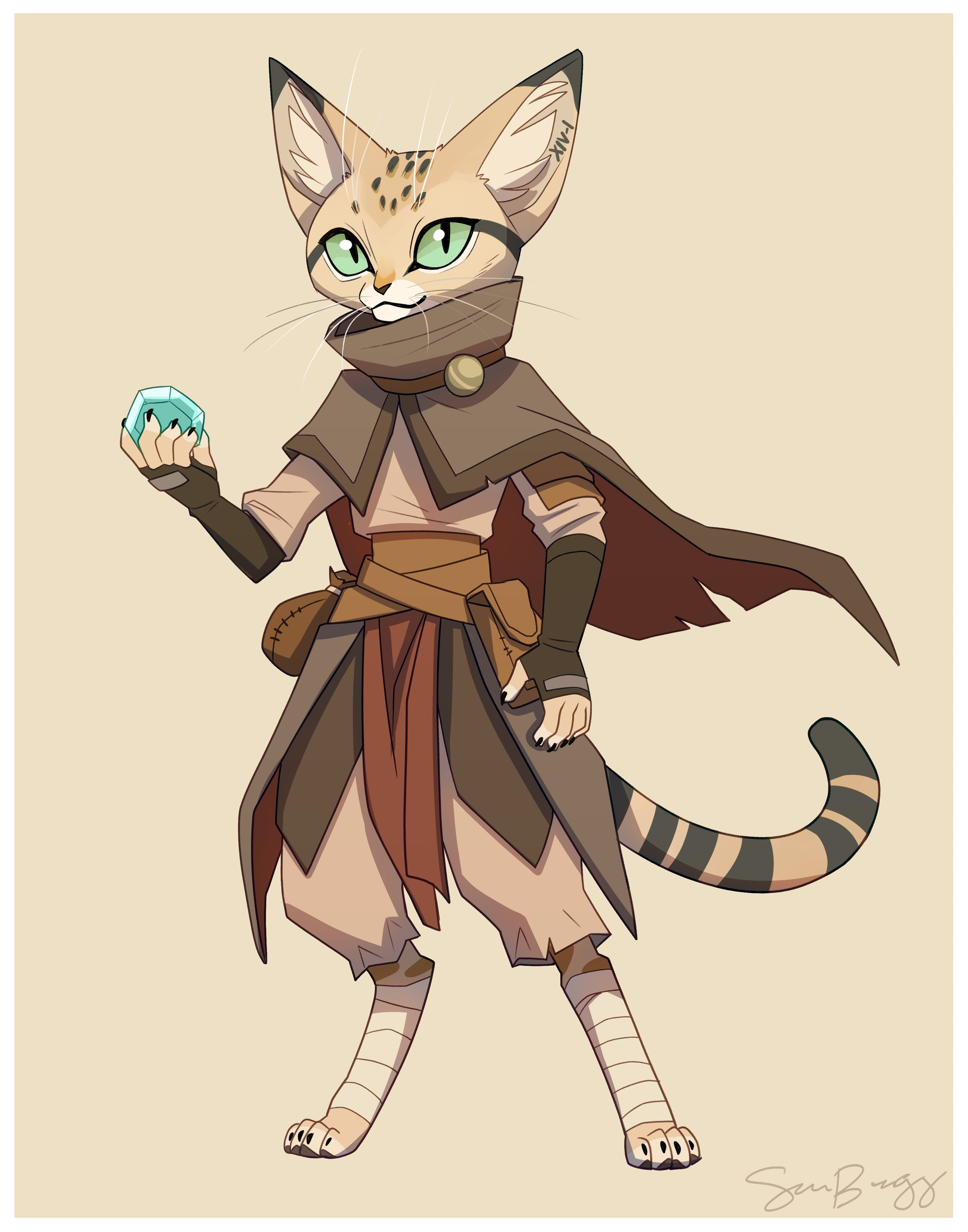 sandcattabaxi.png