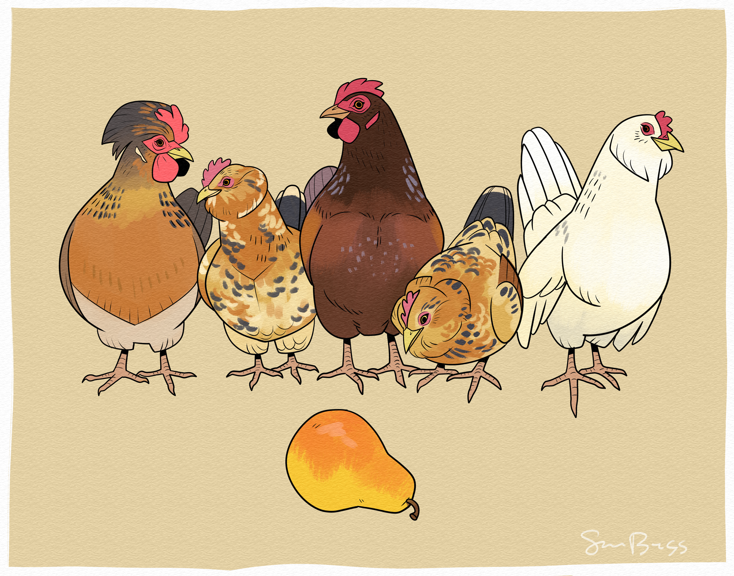 five_hens.png