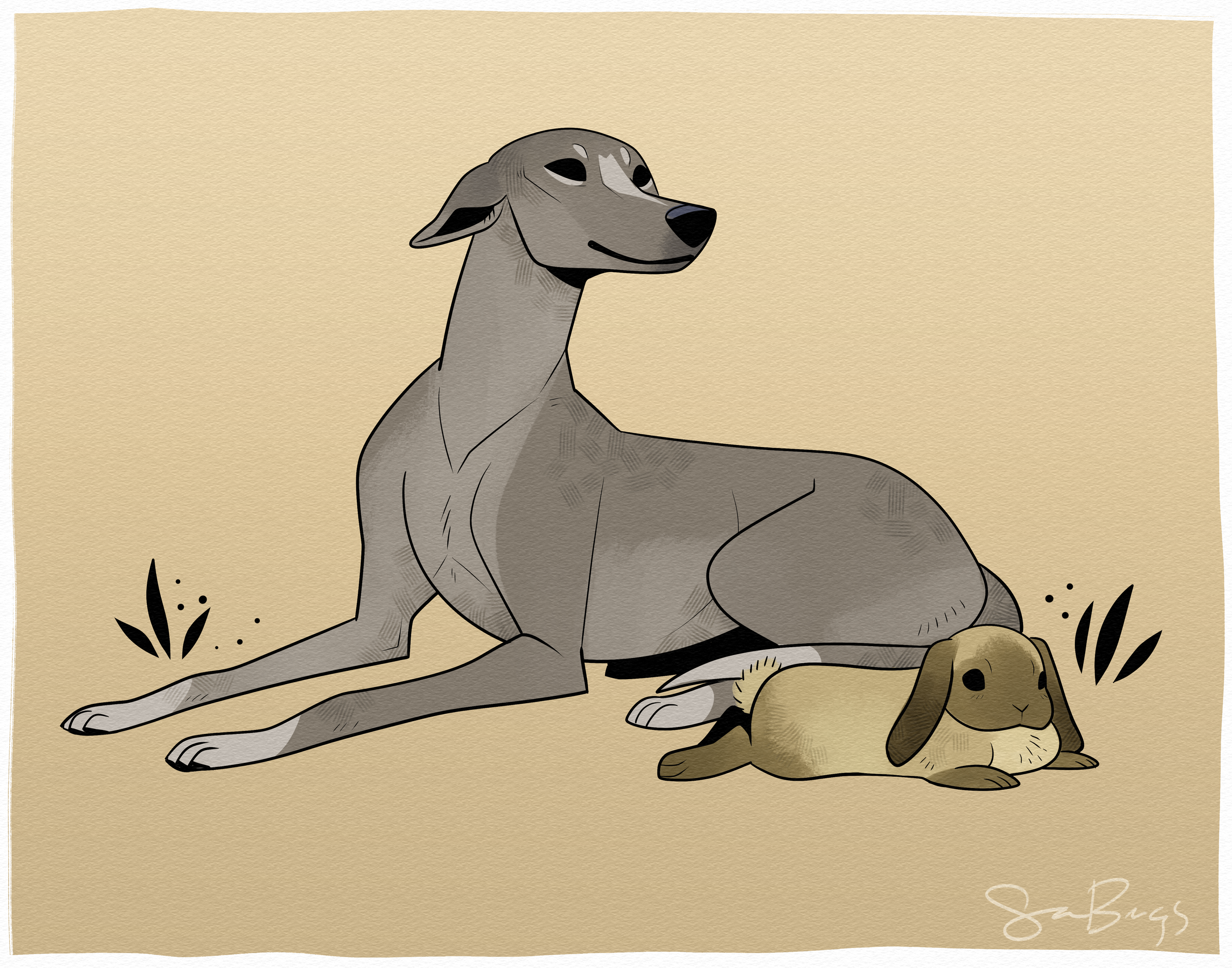 greyhound.png
