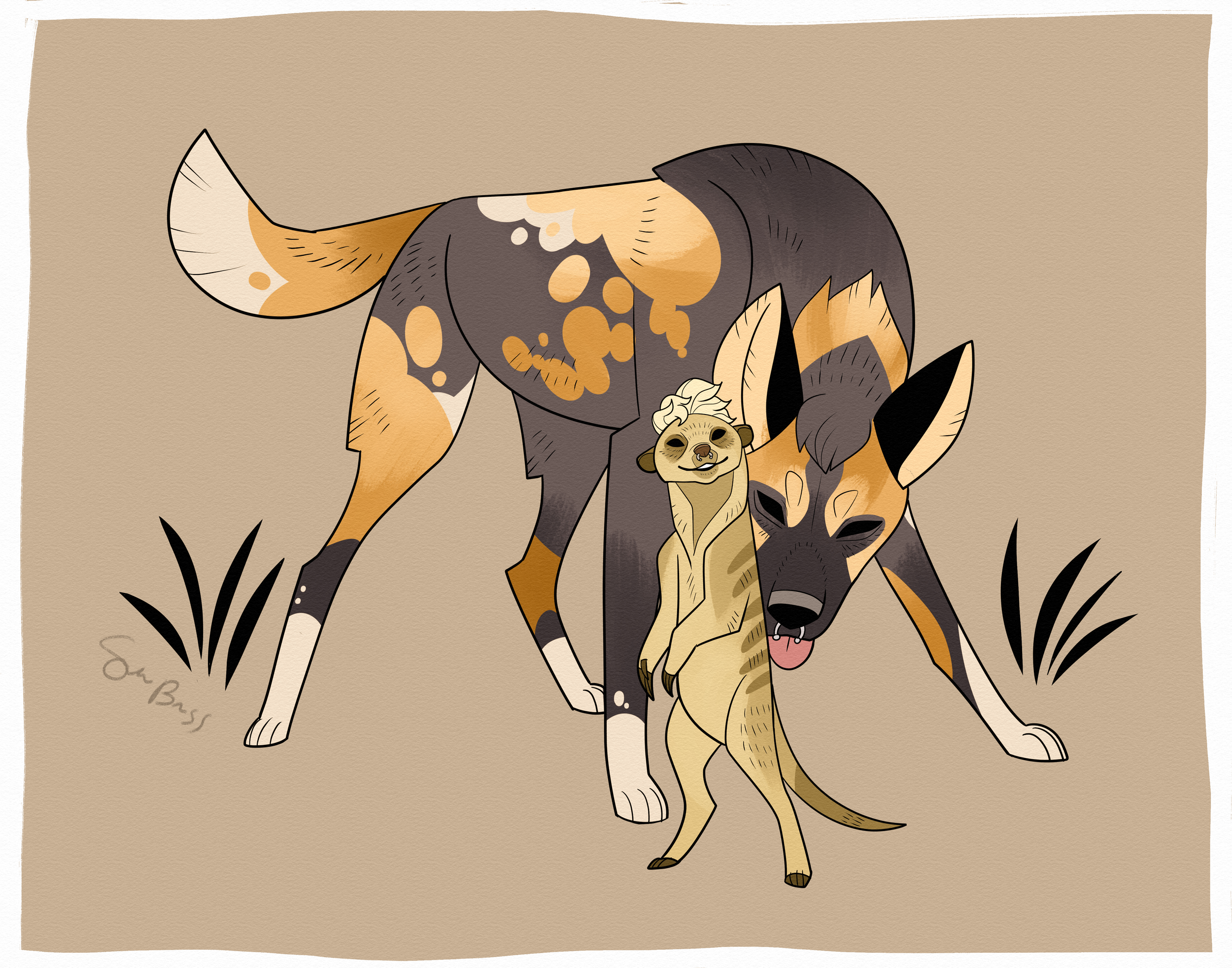 wilddogmeerkat.png